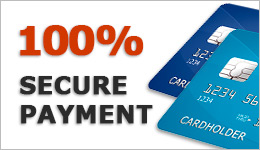 100% secure payment